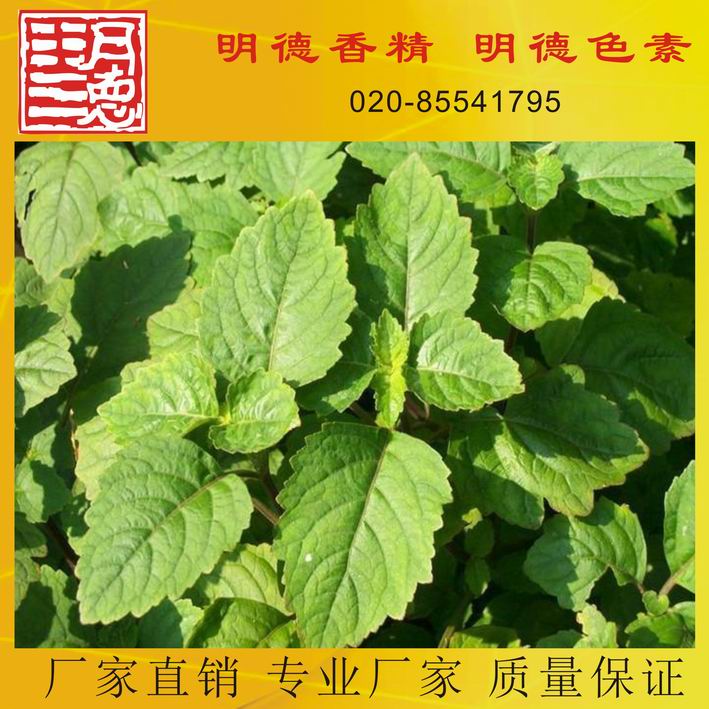 �c���鿴Ԕ��(x��)